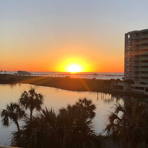 Meet your Posher, Anne